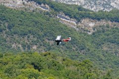 photo_047
