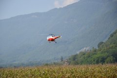 photo_031