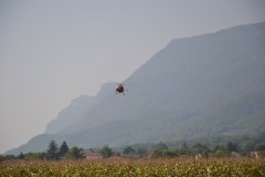 photo_038