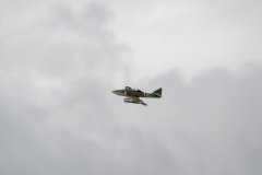 photo_147