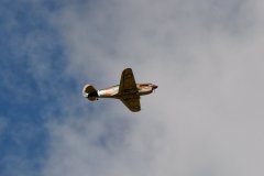 photo_165