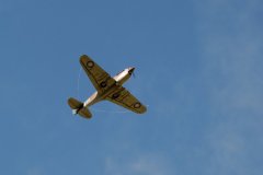photo_169