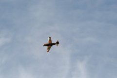 photo_171