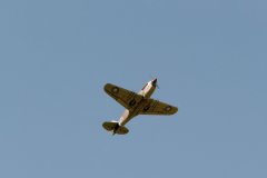photo_172