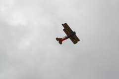 photo_186