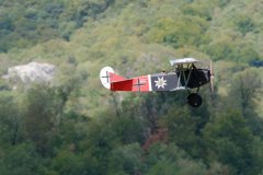 photo_194