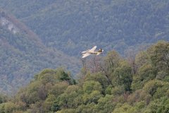 photo_198