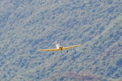 photo_218
