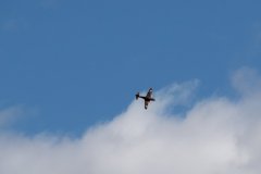 photo_269
