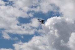 photo_294