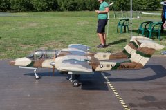 photo_304