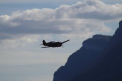 photo_316