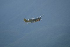 photo_317