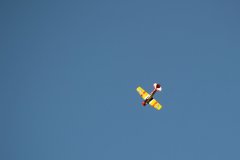 photo_025