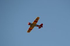 photo_026
