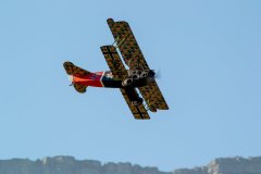 photo_042