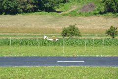 photo_141