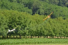 photo_164