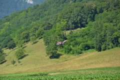 photo_174