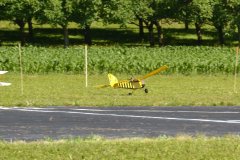 photo_183