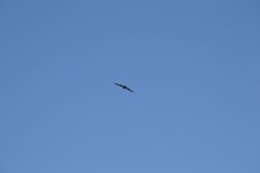 photo_189