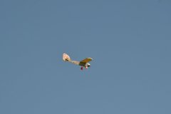 photo_224