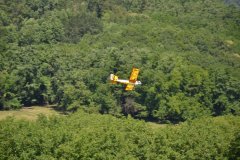 photo_233