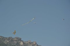 photo_244
