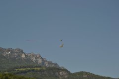 photo_245