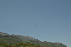 photo_246