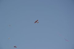 photo_249