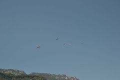 photo_251