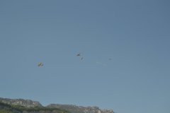 photo_252