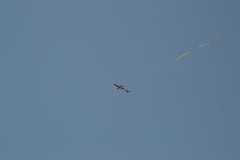 photo_255