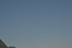 photo_257