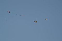 photo_262