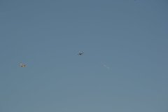 photo_265