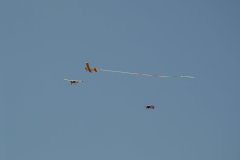 photo_266