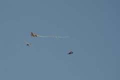 photo_267