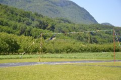 photo_274