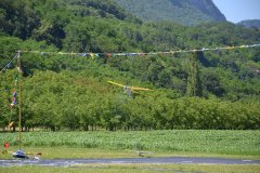 photo_276
