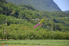 photo_281