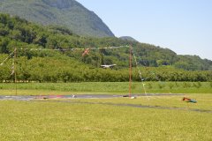 photo_301