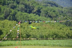 photo_308