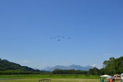 photo_337