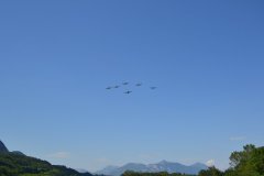 photo_338