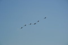 photo_342