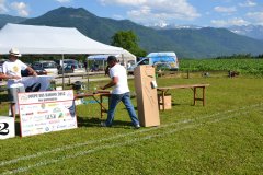 photo_356
