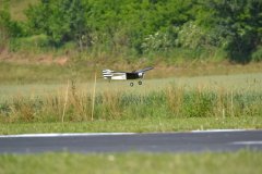 photo_025