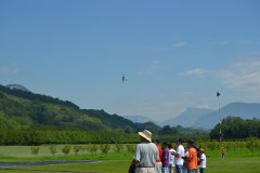 photo_065